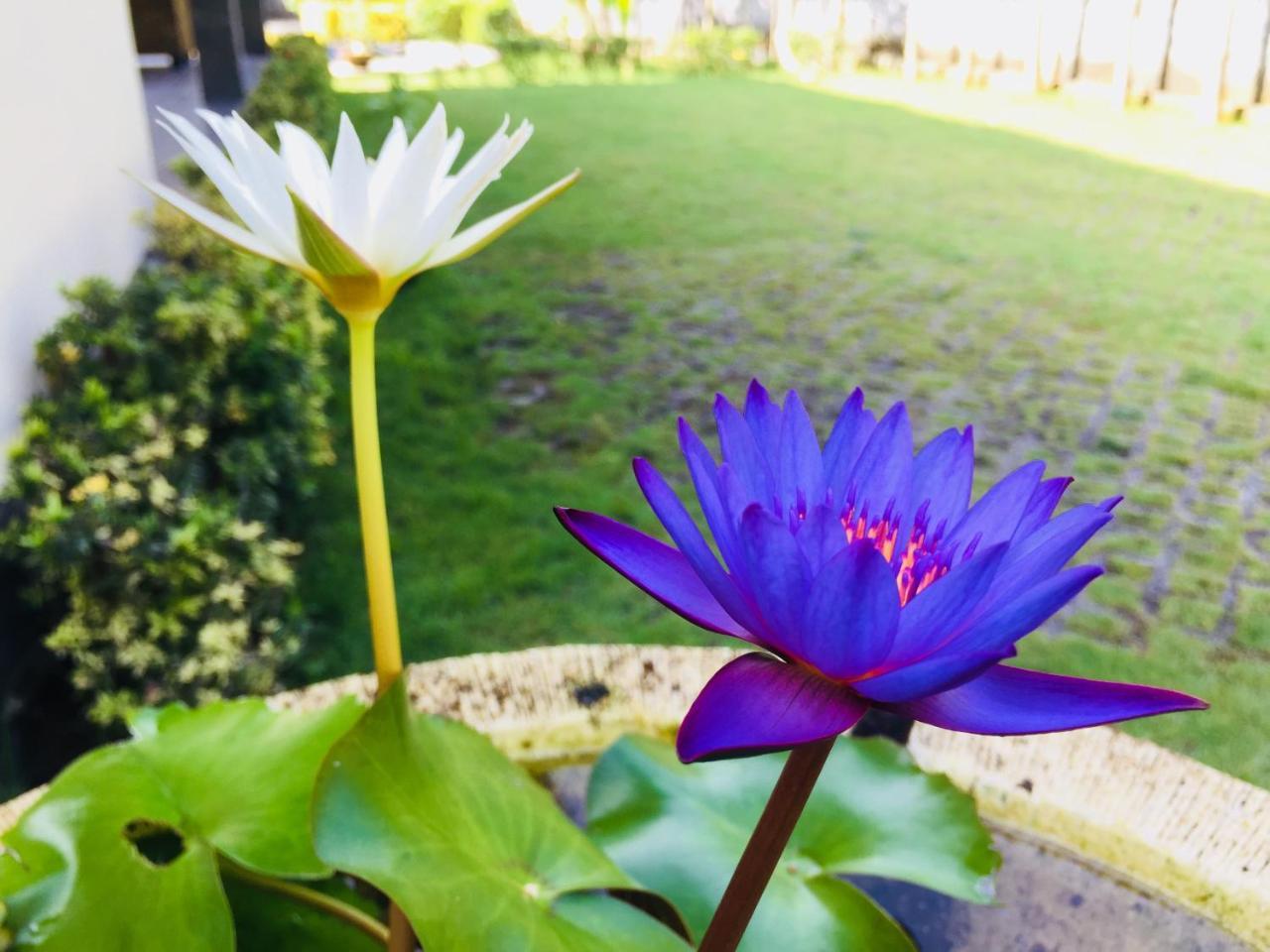 Mutiara Bali Otel Candidasa Dış mekan fotoğraf